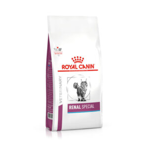 Royal Canin Renal Special Gatto
