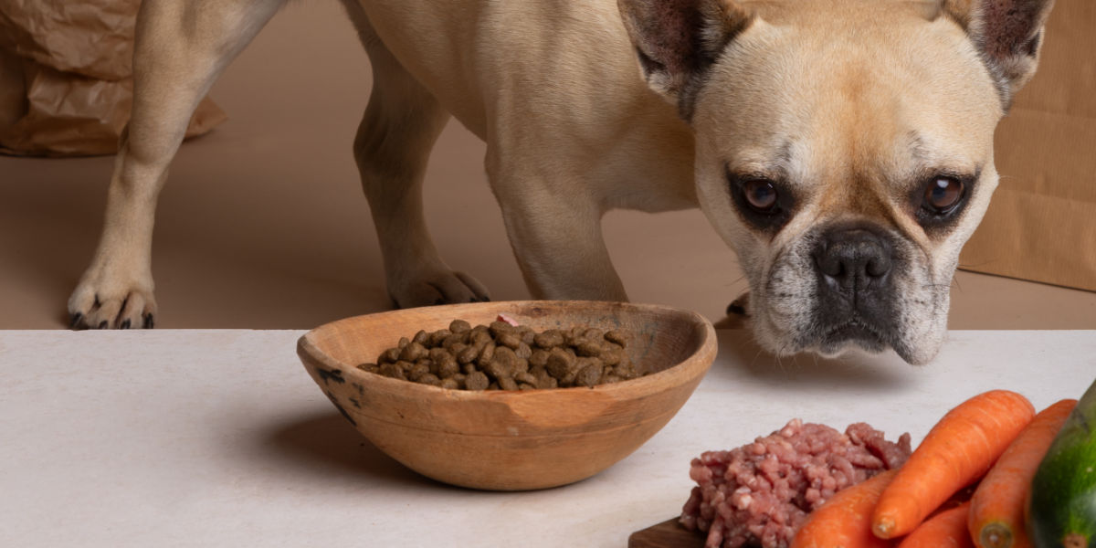 Al momento stai visualizzando Come scegliere un buon cibo per cani e gatti: la guida completa alla lettura del cartellino di composizione