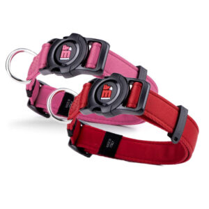 Collare MyFamily con Incisione