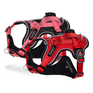 Pettorina H MyFamily con Incisione