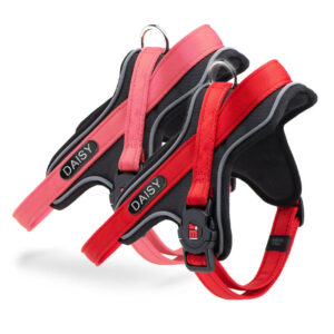 Pettorina Norvegese MyFamily con Incisione